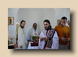 P1100656 (Medium)